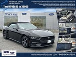 2024 Mustang Thumbnail 25