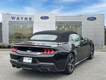 2024 Mustang Thumbnail 28
