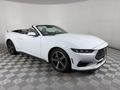 2024 Ford Mustang Ecoboost Premium 2DR Convertible