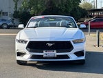 2024 Mustang Thumbnail 11