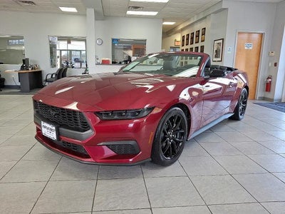 Photo of a 2025 Ford Mustang Ecoboost Premium 2DR Convertible for sale
