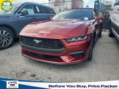 Photo of a 2024 Ford Mustang Ecoboost Premium 2DR Convertible for sale