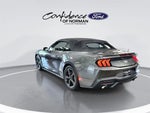 2024 Mustang Thumbnail 4