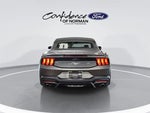 2024 Mustang Thumbnail 5