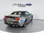 2024 Mustang Thumbnail 6
