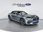 2024 Mustang Thumbnail 9