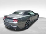 2024 Mustang Thumbnail 5
