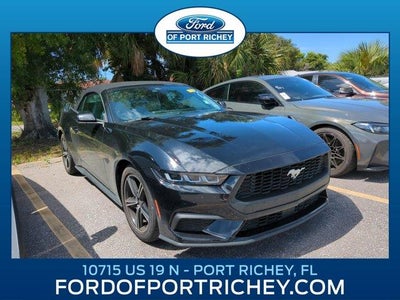 Photo of a 2024 Ford Mustang Ecoboost Premium 2DR Convertible for sale