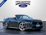 2024 Mustang Thumbnail 1