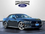2024 Mustang Thumbnail 2
