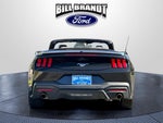 2024 Mustang Thumbnail 5