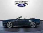 2024 Mustang Thumbnail 7