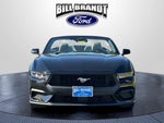 2024 Mustang Thumbnail 9