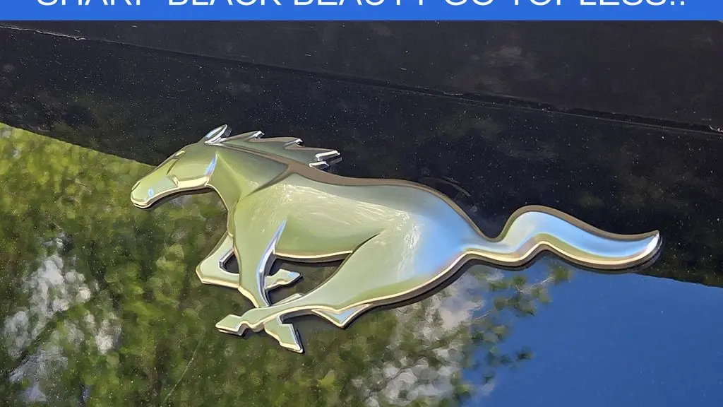 2024 Ford Mustang EcoBoost
