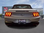 2024 Mustang Thumbnail 22