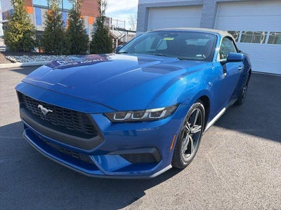 2024 Ford Mustang Ecoboost Premium 2DR Convertible