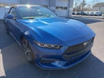 2024 Mustang Thumbnail 8