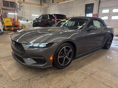 Photo of a 2025 Ford Mustang Ecoboost Premium 2DR Convertible for sale