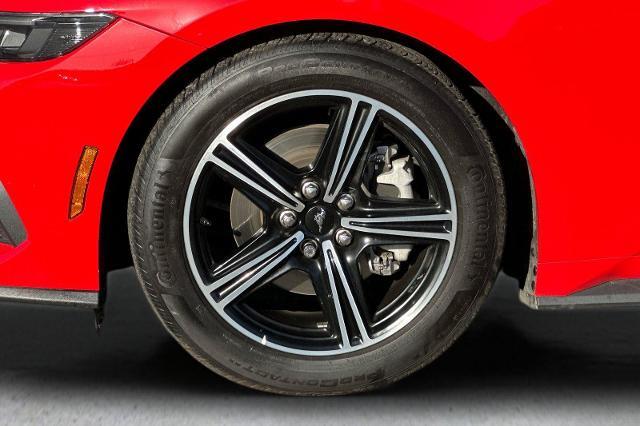 2025 Ford Mustang - $29,998