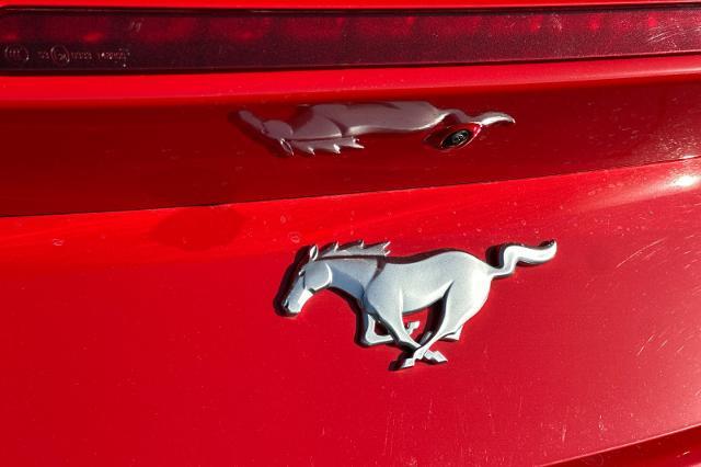 2025 Ford Mustang - $29,998