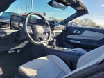 2024 Mustang Thumbnail 19