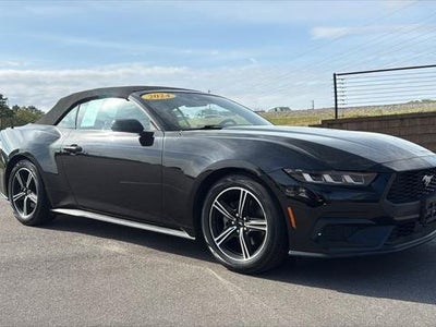 2024 Ford Mustang Ecoboost 2DR Convertible