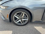 2024 Mustang Thumbnail 31