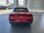 2024 Mustang Thumbnail 5