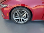 2024 Mustang Thumbnail 31