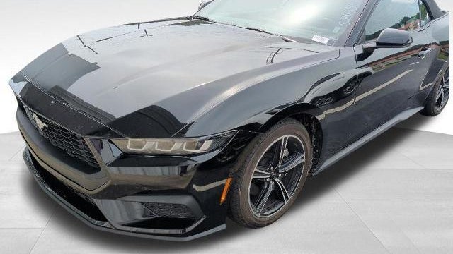 Preowned 2025 Ford Mustang EcoBoost for Sale