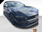 2025 Mustang Thumbnail 1