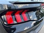 2025 Mustang Thumbnail 13