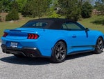 2024 Mustang Thumbnail 6