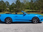 2024 Mustang Thumbnail 13