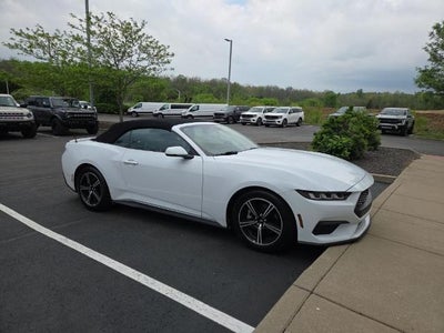 Photo of a 2024 Ford Mustang Ecoboost 2DR Convertible for sale