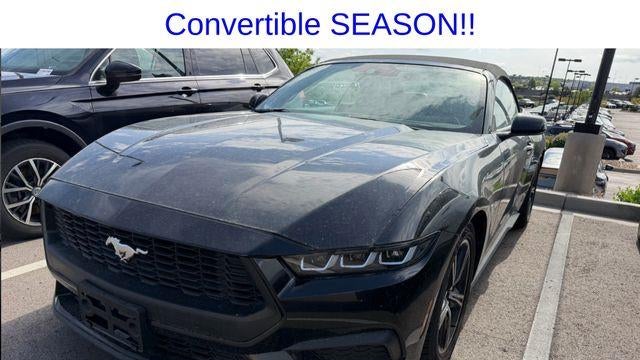 Preowned 2024 Ford Mustang EcoBoost for Sale