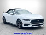 2024 Mustang Thumbnail 4