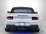 2024 Mustang Thumbnail 23
