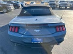 2024 Mustang Thumbnail 24