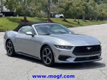 2024 Mustang Thumbnail 4