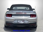 2024 Mustang Thumbnail 20