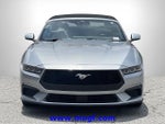 2024 Mustang Thumbnail 22