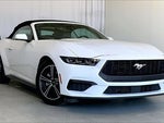 2025 Mustang Thumbnail 1
