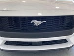 2025 Mustang Thumbnail 26