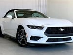 2025 Mustang Thumbnail 28