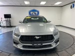 2025 Mustang Thumbnail 3