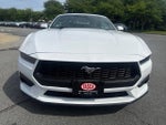 2026 Mustang Thumbnail 2