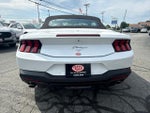 2026 Mustang Thumbnail 6