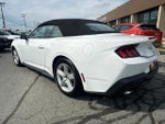 2026 Mustang Thumbnail 7