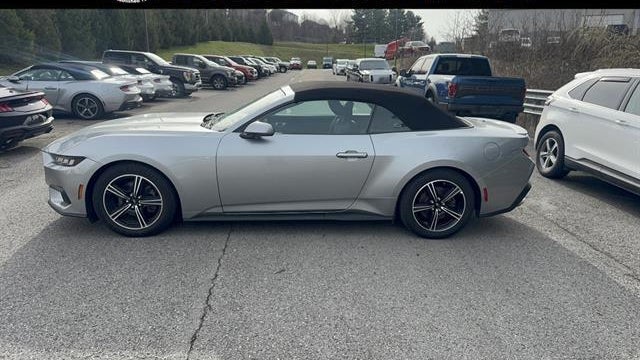 Preowned 2024 Ford Mustang EcoBoost for Sale